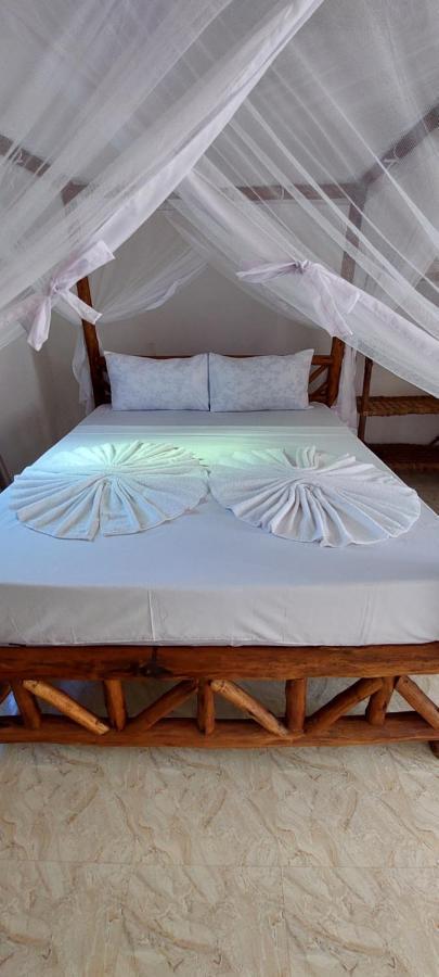 Aquarium House Hostel